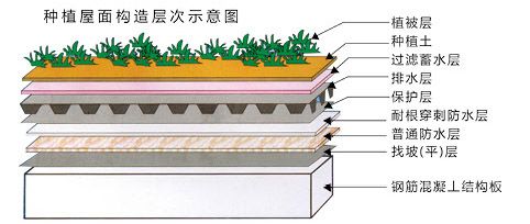 SBS化学阻根耐根穿刺防水卷材3.jpg